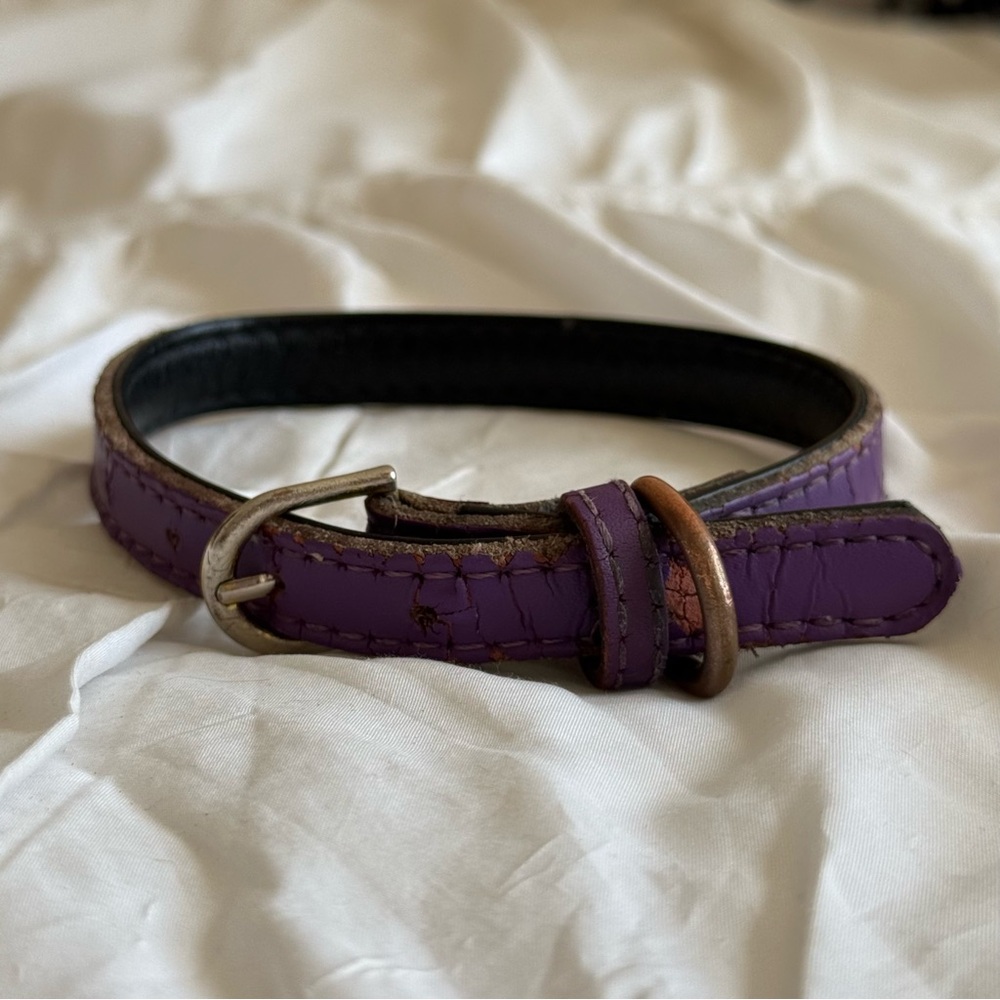 Basic Classic Padded Leather Pet Collars (Medium (Neck 11.5”-15”), Purple)